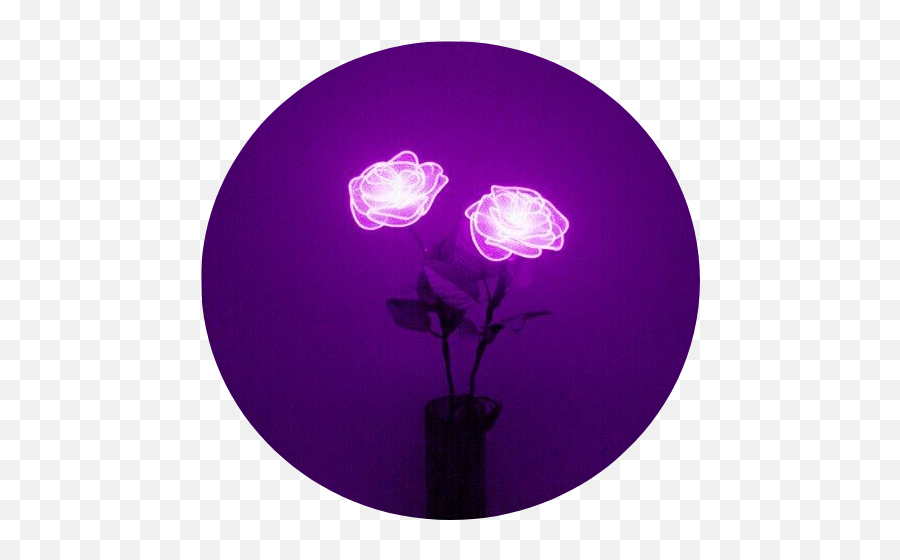 Download Hd Aesthetic Lavender Background Tumblr Light Emoji,Lavender Transparent Background
