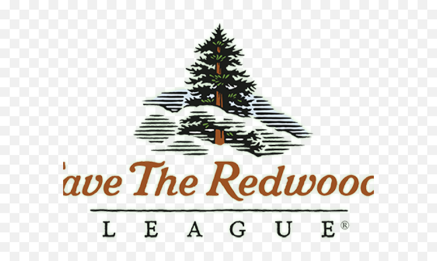 Download Hd Fir Tree Clipart California Redwood - Save The Emoji,Spruce Tree Clipart