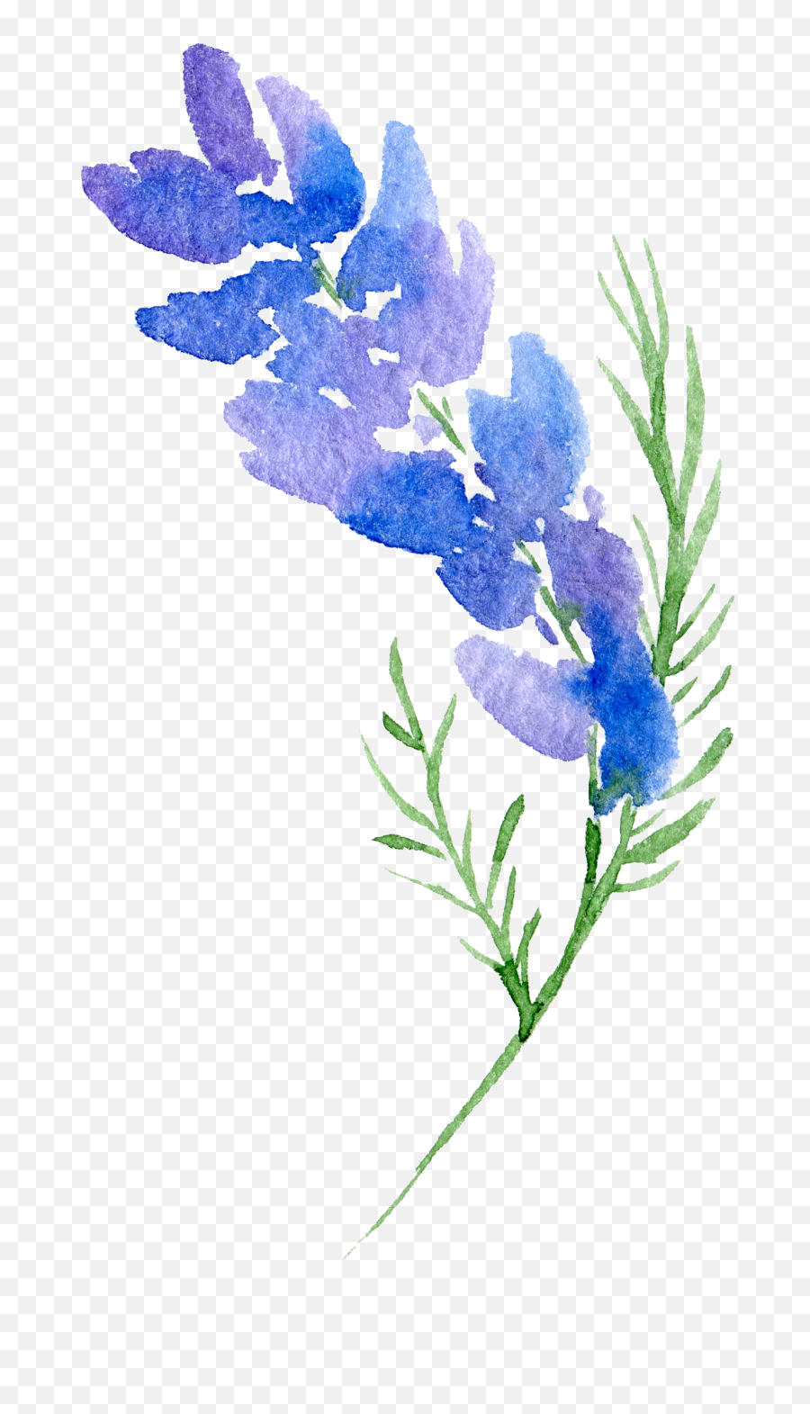 Floral Design Flower Watercolor Painting - Transparent Flower Transparent Background Watercolor Emoji,Watercolor Flowers Png