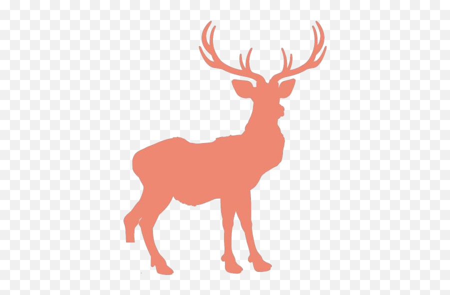Caribou Antlers Png Hd Images Stickers Vectors - Animal Figure Emoji,Antlers Clipart