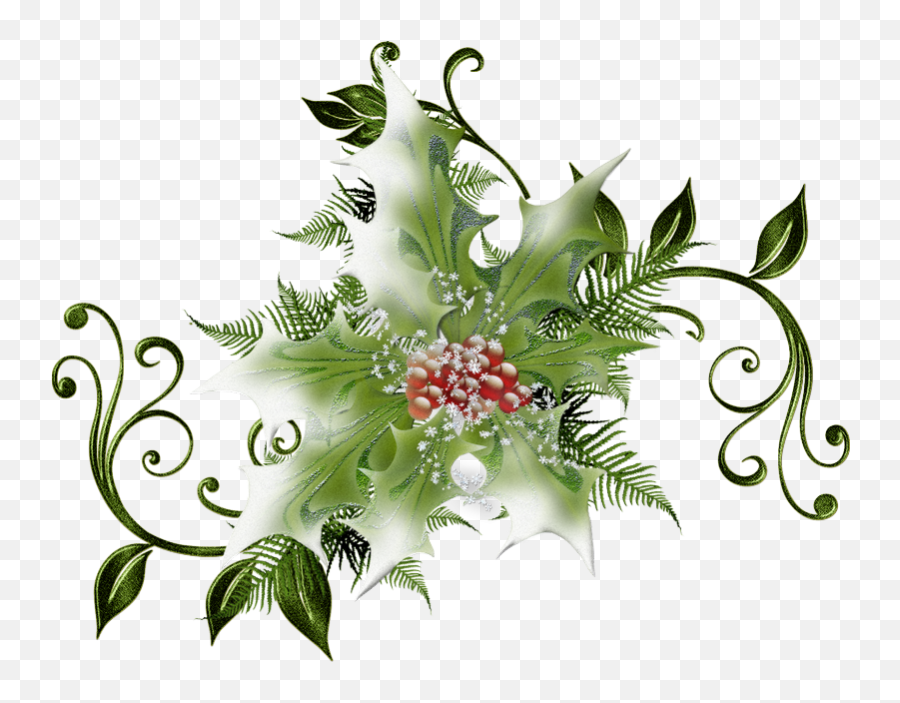 Holly Clipart Botanical Illustration Holly Botanical - Christmas Png Emoji,Holly Clipart