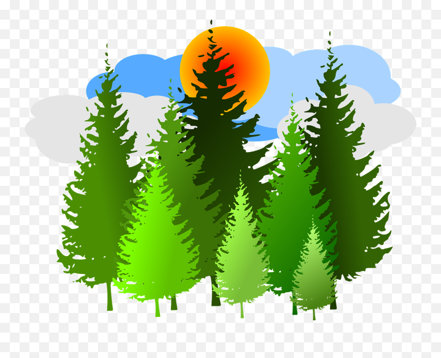 Pine Tree Maptivation Create Your Own - Pine Tree Silhouette Emoji,Pine Tree Clipart
