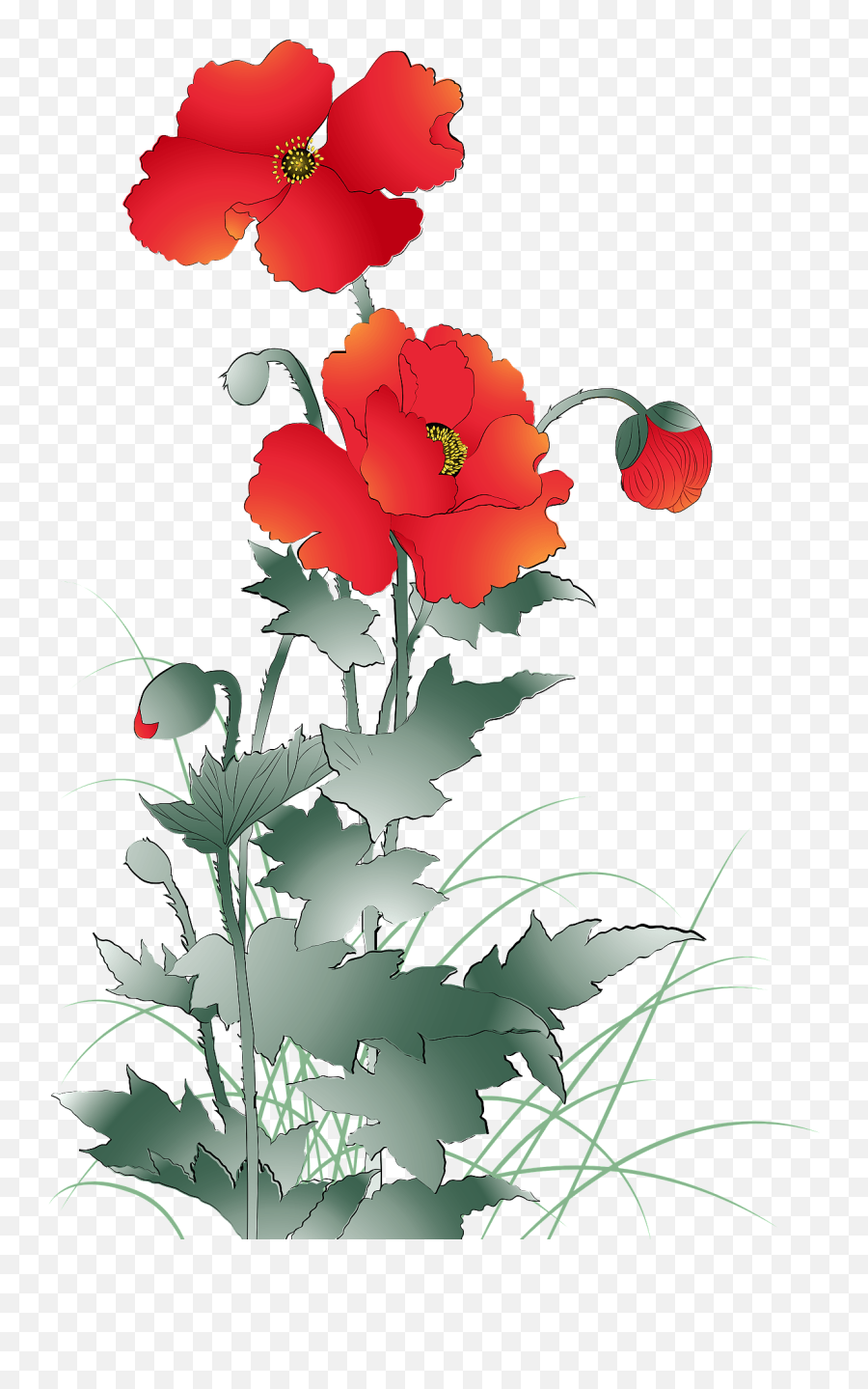 Poppy Flower Clipart - Poppy Emoji,Poppy Flower Clipart