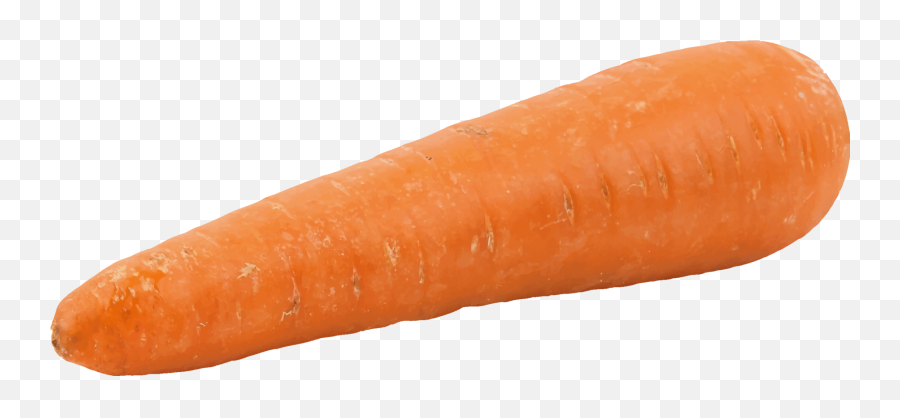 Orange Wild Carrot Carrot Png Clipart - Transparent Carrot Nose For Snowman Emoji,Carrot Clipart