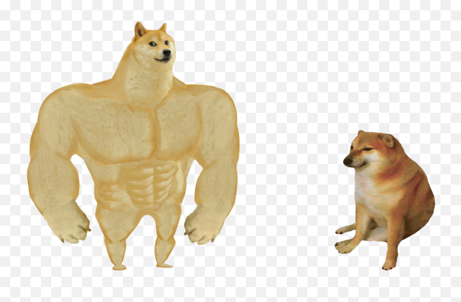 Swole Doge Vs - Doge Meme Template Emoji,Doge Png