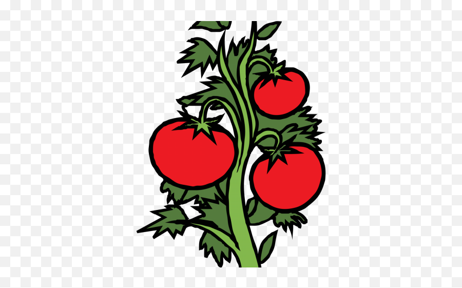 Tomato Clipart Shrub Plant - Vegetables In The Garden Clipart Emoji,Tomato Clipart