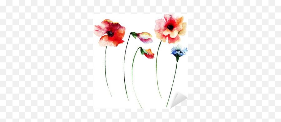 Set Of Summer Watercolor Flowers Sticker U2022 Pixers - We Live To Change Common Poppy Emoji,Watercolor Flowers Png
