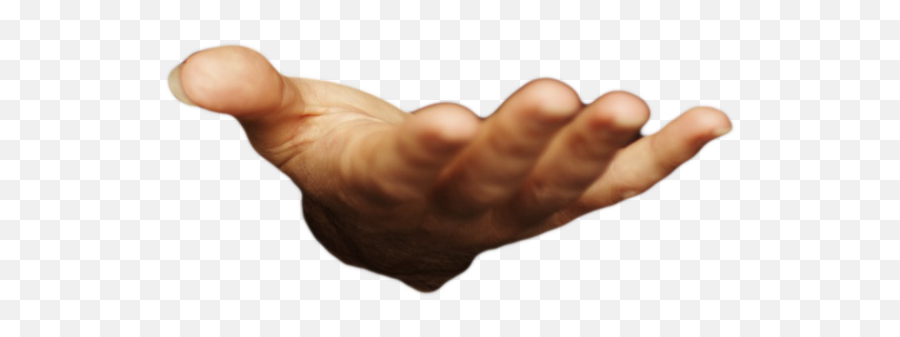 Open Hand Good Common Sense - Open Hand Front Png Emoji,Hand Transparent