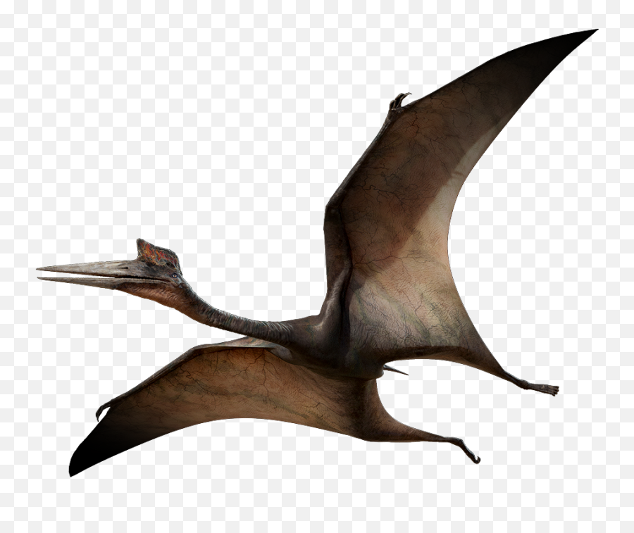 Transparent Pterodactyl Png - Flying Dinosaur Png Emoji,Pterodactyl Png