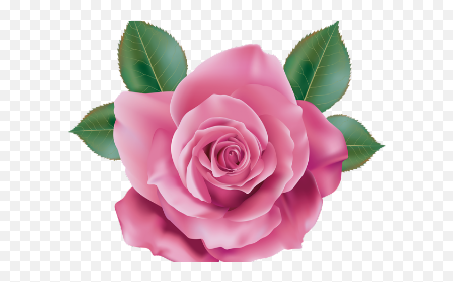 Pink Rose Clipart Realistic - Png Pink Rose Transparent Pink Rose Transparent Background Emoji,Rose Clipart Png