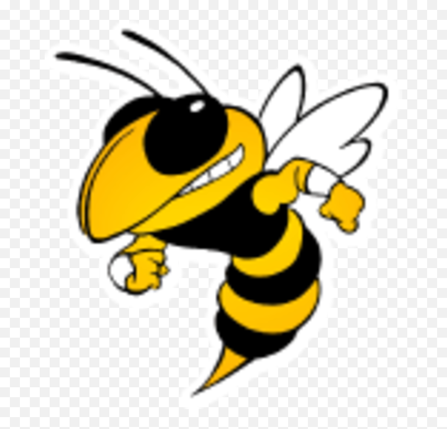 Calhoun High School - Calhoun Ga Georgia Tech Yellow Jacket Logo Emoji,Ga Logo