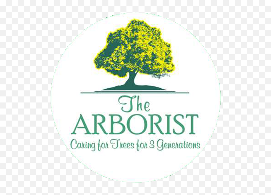 Tree Care Surrey Home The Arborist - Success Is Just Failure That Hasn T Happened Yet Emoji,Webly Logo