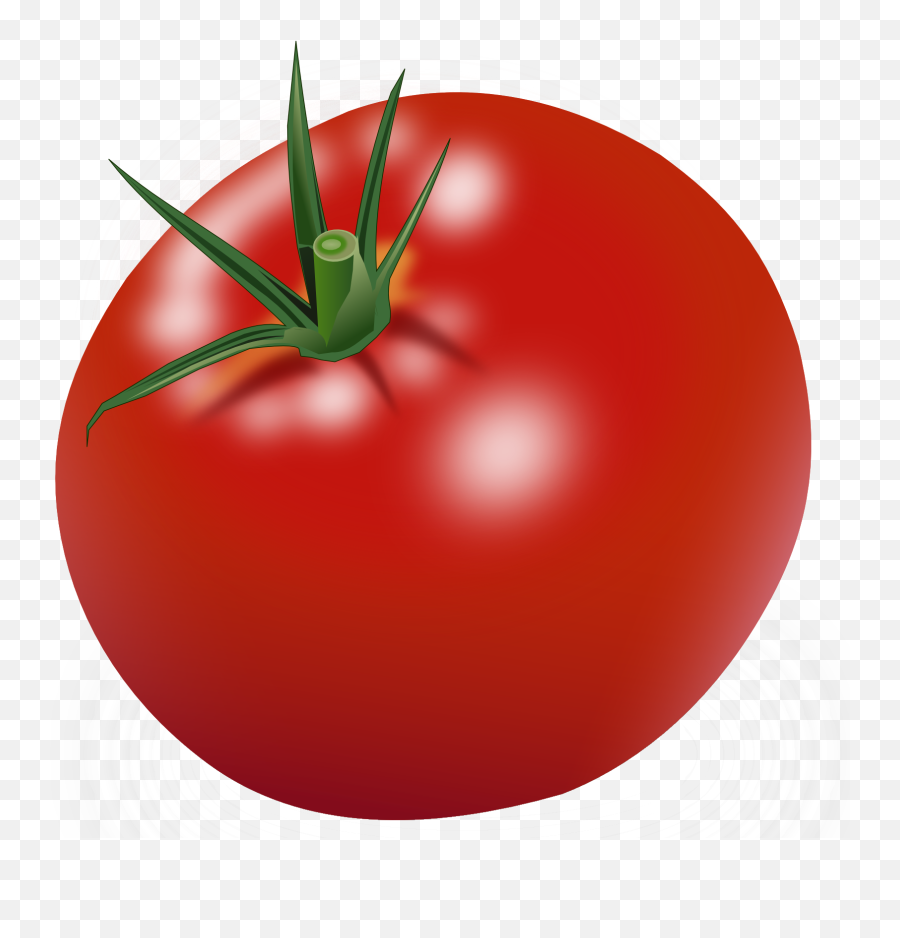 Red Tomatoes - Red Tomato Clipart Emoji,Vegetable Clipart