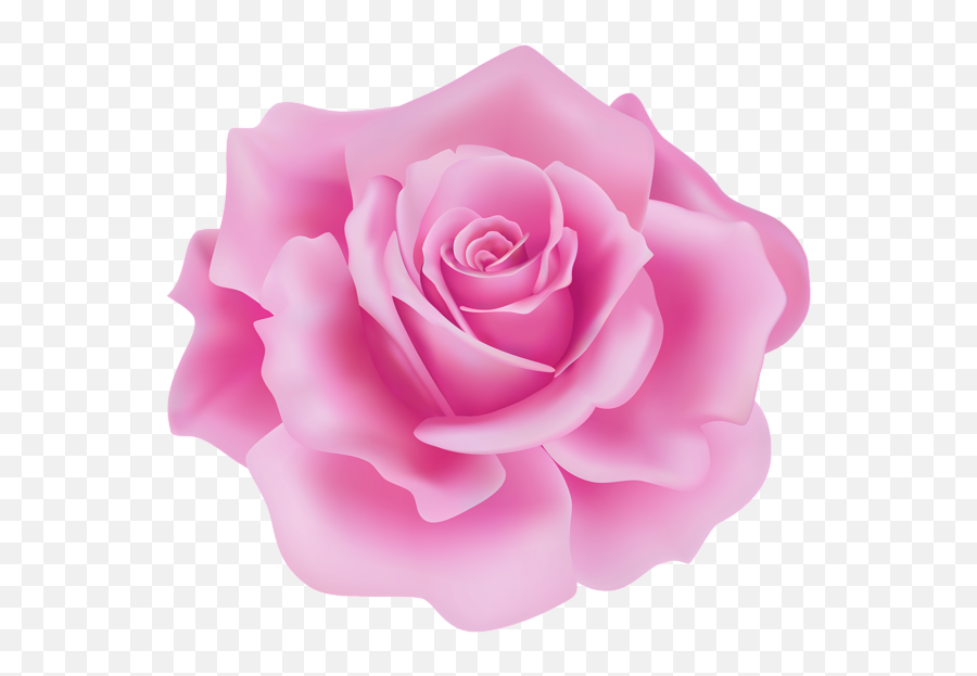 Delicate Pink Rose Png Clipart - Clip Art Emoji,Pink Rose Clipart