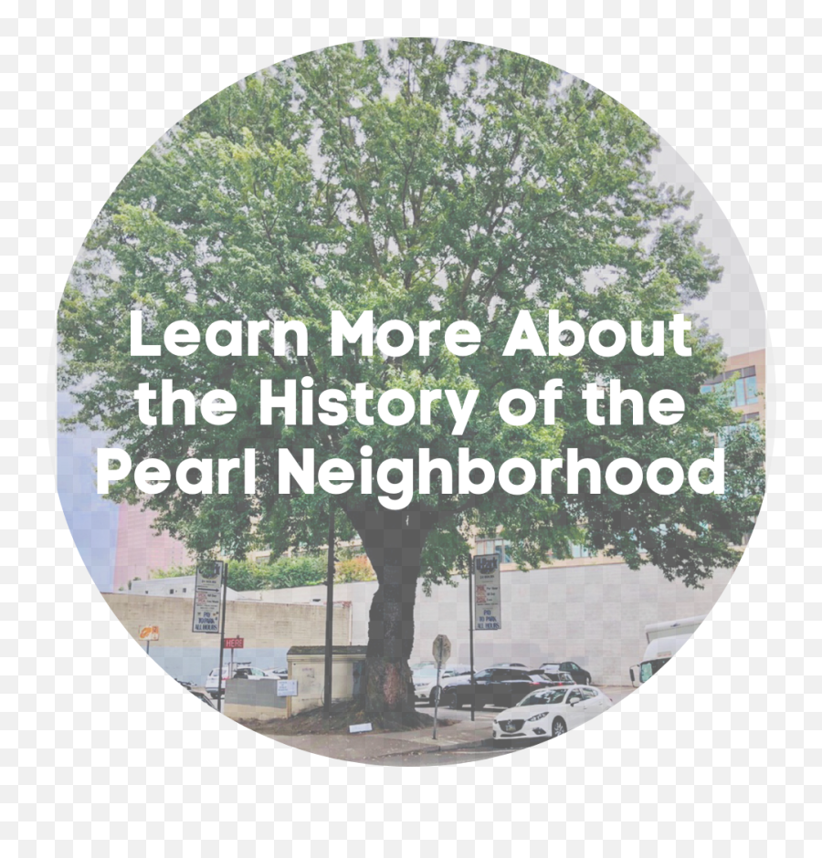 Pearl Neighbors For Integrity In Design - Shade Emoji,Neighborhood Png