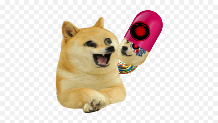 Infected Kid Doge Pngs - Angry Doge Transparent Png Emoji,Doge Png