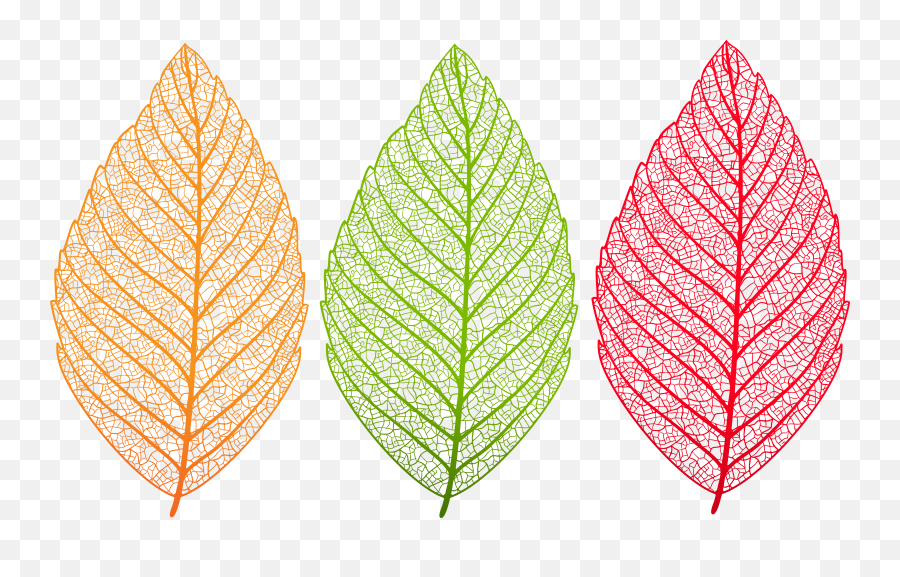 Leaf Clipart Leaf Pattern Leaf Leaf - Transparent Leaf Clipart Png Emoji,Leaf Transparent