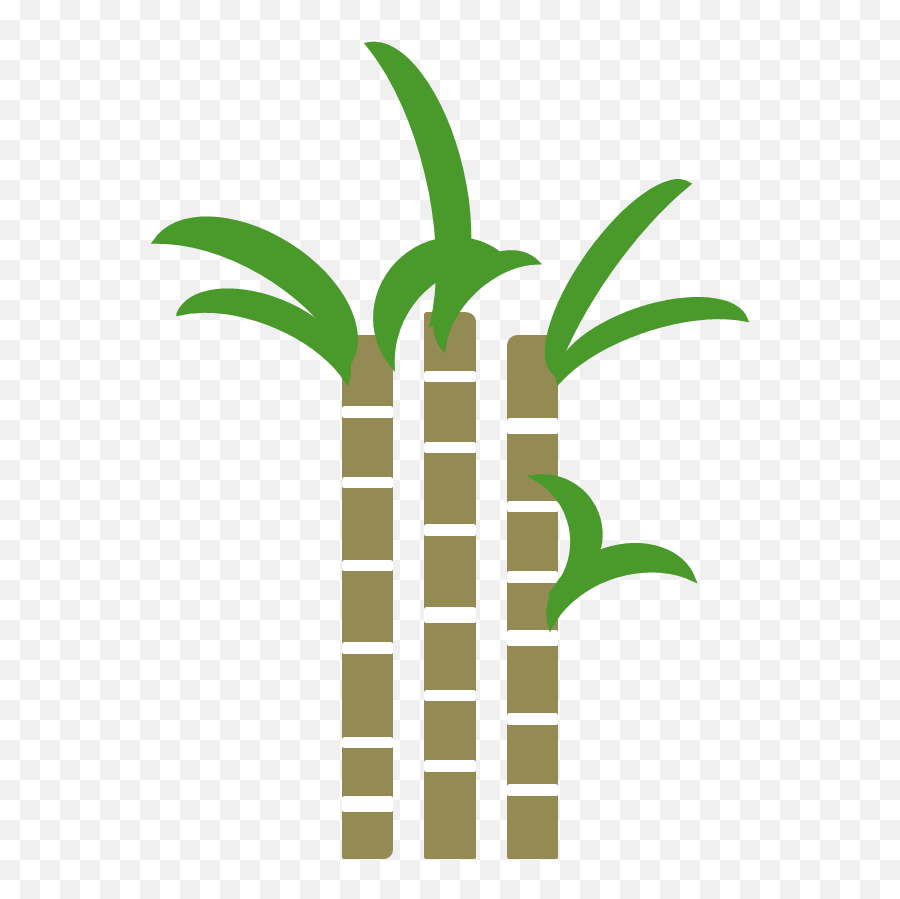 Sugar Cane - Sugar Cane Png Transparent Emoji,Cane Png