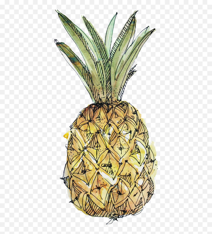 Orasnap Cute Tumblr Drawings Emoji,Cute Pineapple Clipart