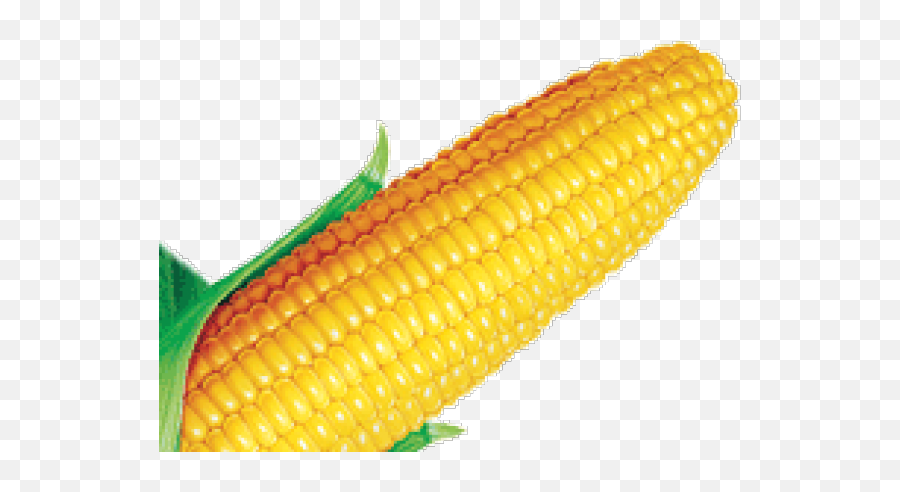 Corn Clipart Farmville - Corn Kernels Full Size Png Emoji,Corndog Clipart