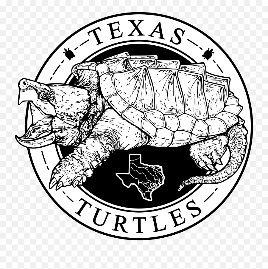 Texas Turtles On Twitter This Turtle Has Whatu0027s Called A Emoji,Sea Turtle Logo