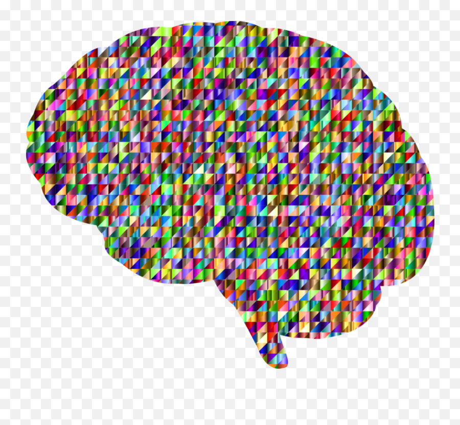 Organ Brain Psychology Png Clipart - Clip Art Emoji,Psychology Clipart