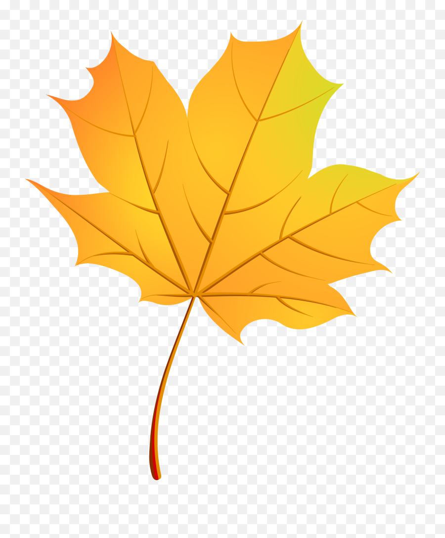 Vector Autumn Leaf Transparent Images - Autumn Leaf Vector Png Emoji,Leaf Transparent
