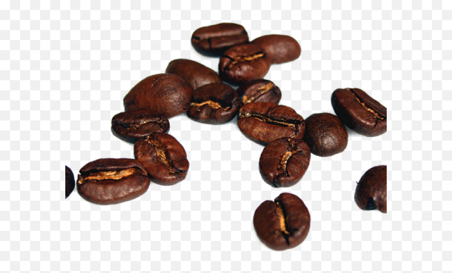 Download Coffee Beans Transparent Background - Full Size Png Transparent Coffee Beans Png Emoji,Coffee Transparent Background