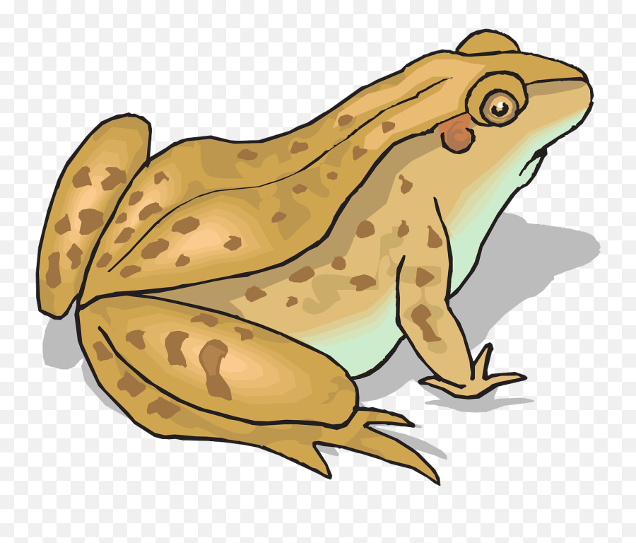Frog And Toad Clipart - Toad Png Clipart Emoji,Frogs Clipart
