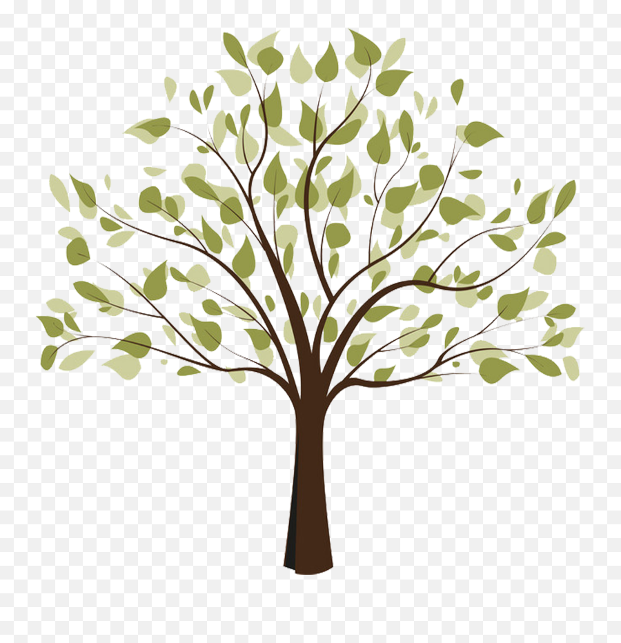Life Communion - Service Tree Of Life Transparent Cartoon Small Tree Png Cartoon Emoji,Tree Of Life Clipart