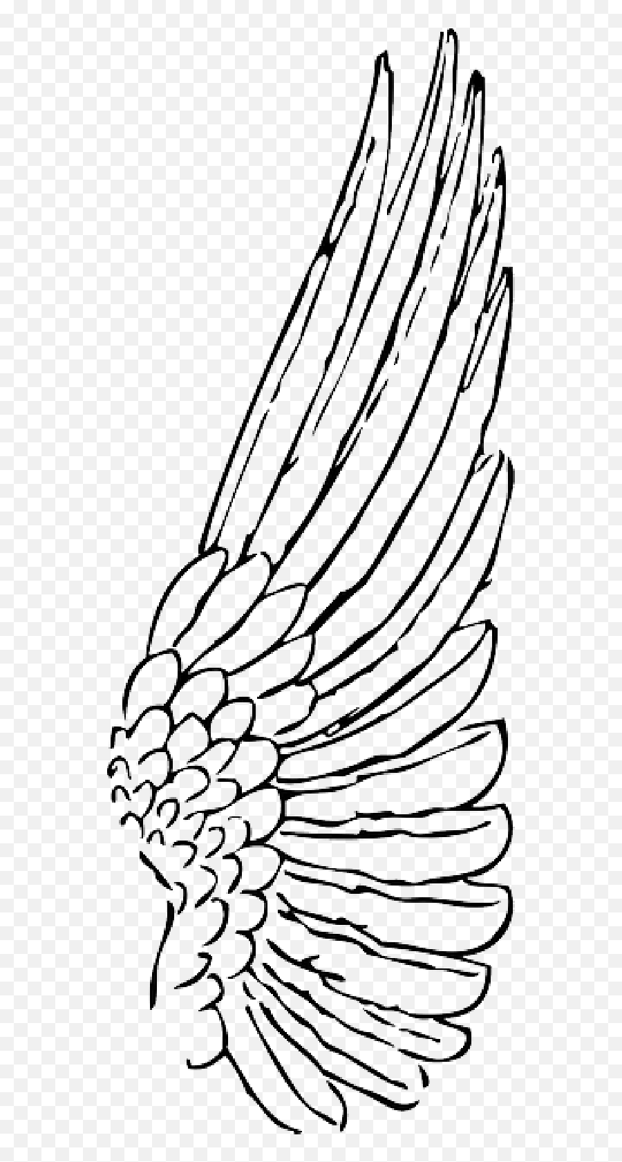 Download Wings Clipart Bird Wing - Single Angel Wings Png Emoji,Wings Clipart