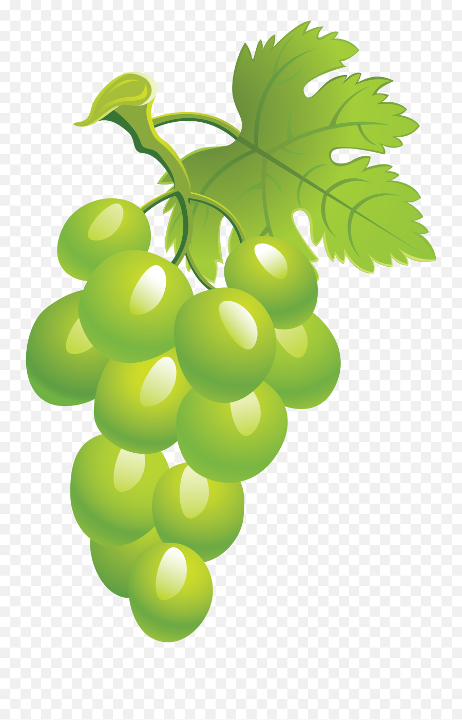 Download Grapes Clipart Green Grape - Green Grape Clipart Png Emoji,Grapes Clipart