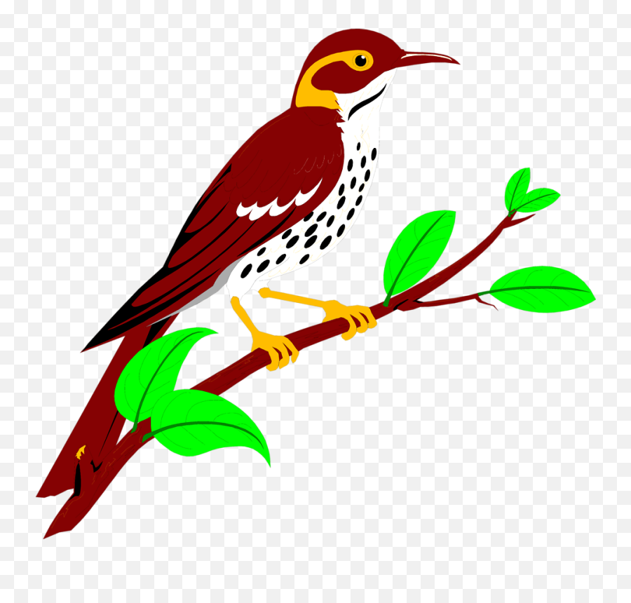 Brownish Red Thrush Free Stock Illustration Of - Woodpecker Emoji,Christmas Owl Clipart
