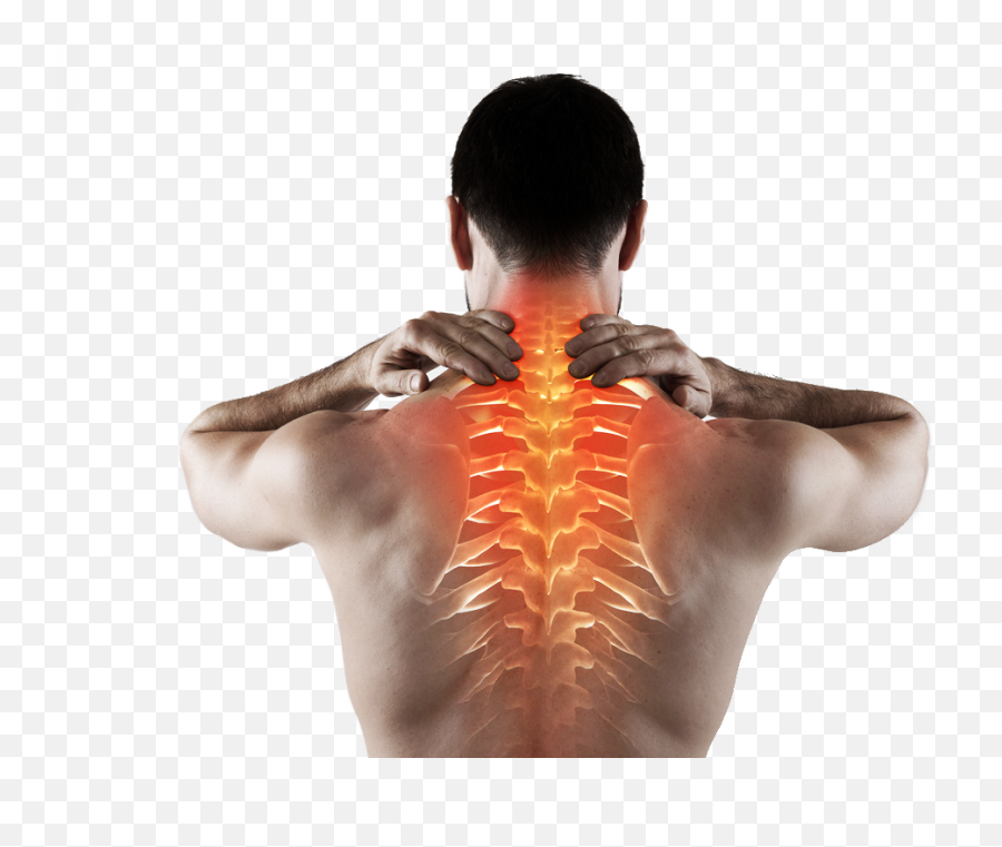 Misalignments Of Spinal Vertebrae And Discs - Cloverdale Emoji,Chiropractor Clipart