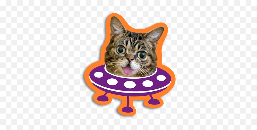 Wet Kitten Cliparts - Kitten Space Ship 334x377 Png Lil Bub Emoji,Kitten Clipart