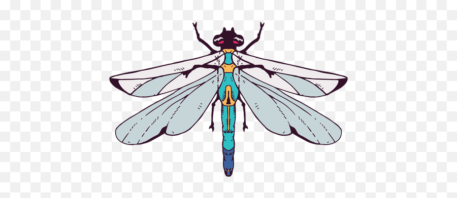 Dragonfly Illustration - Dragonfly Vector Png Emoji,Dragonfly Png