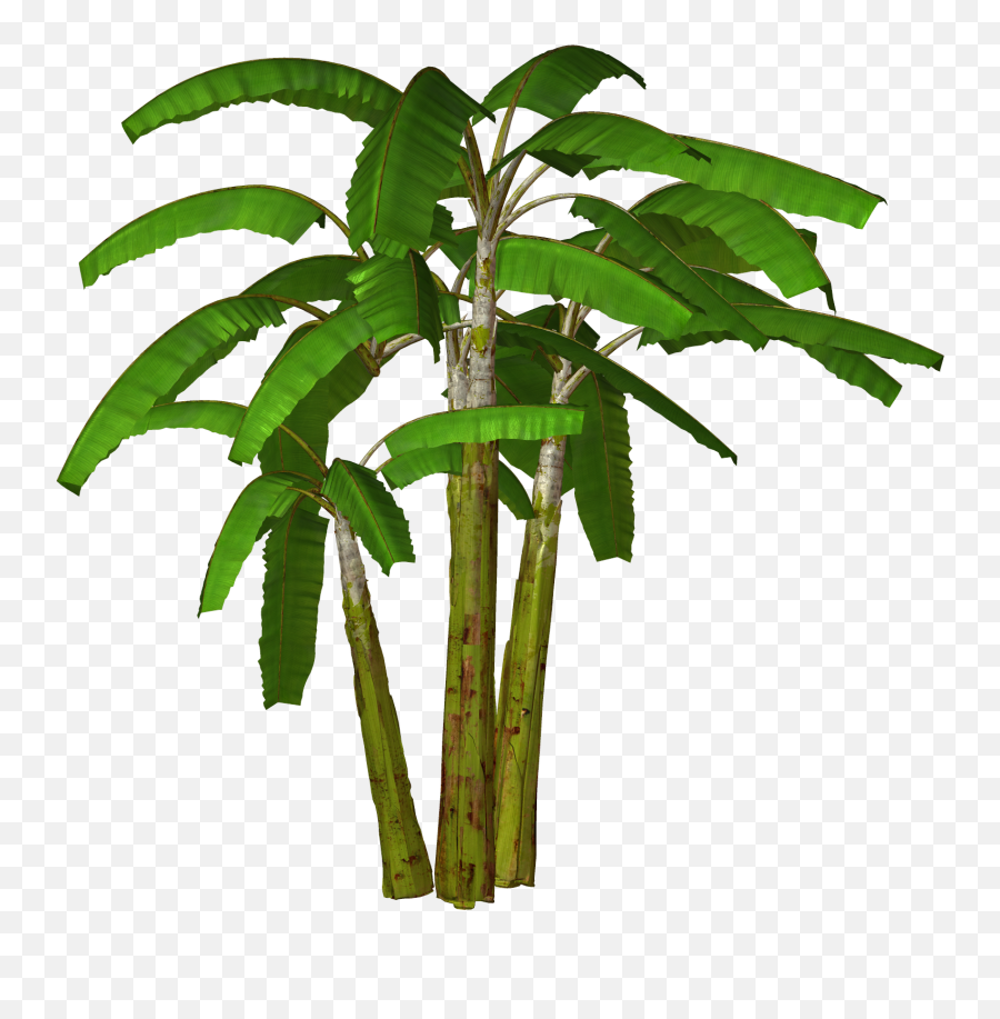 Palm Tree Clip Art Printable Free - Banana Tree Clipart Transparent Background Emoji,Palm Tree Clipart