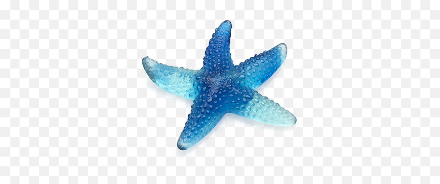 Daum Blue Starfish Mer De Corail - Etoile De Mer Bleu Emoji,Blue Starfish Logo