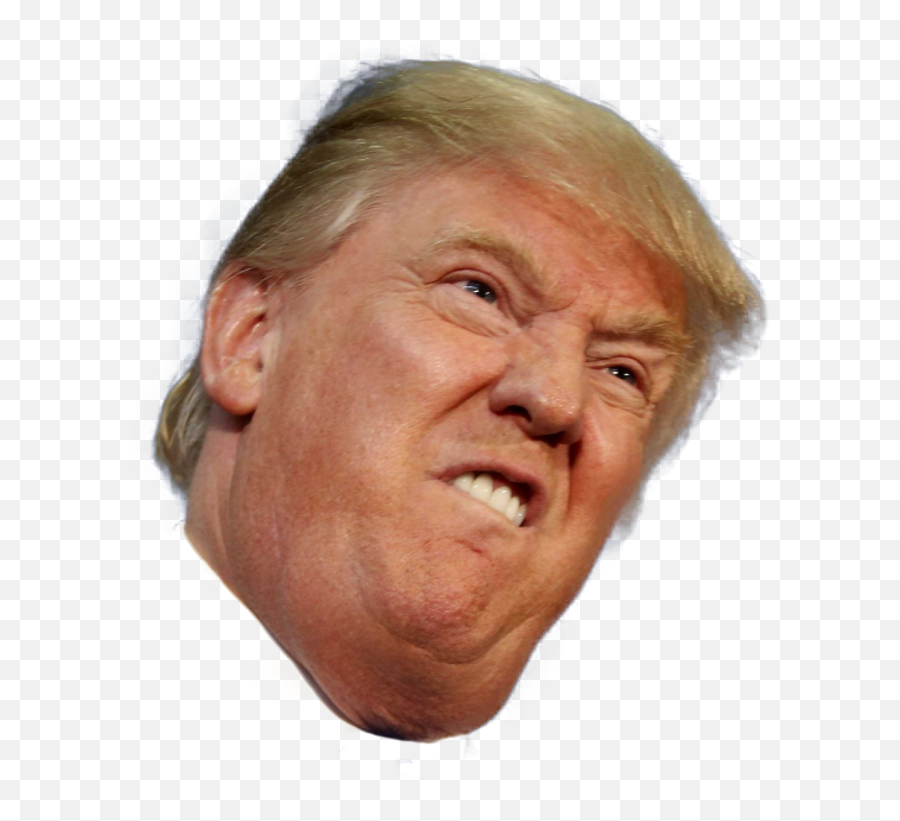 Free Pngs - Trump Face Transparent Background Emoji,Donald Trump Png