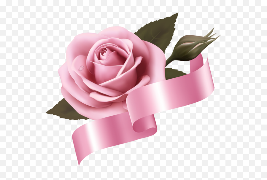 Pin By Trish Wallis On Roses And Other Flowers Pink Rose Emoji,Flower Clipart No Background