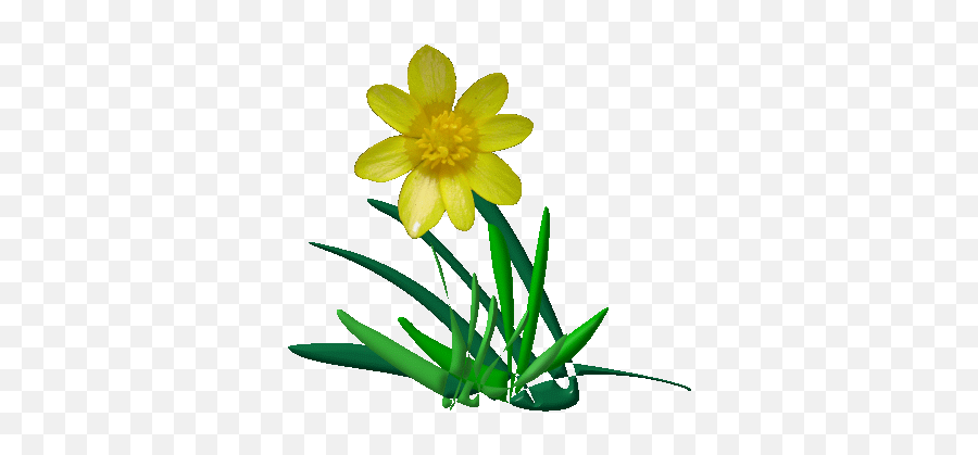 Animated Spring Flowers - Buttercup Emoji,Spring Flowers Clipart