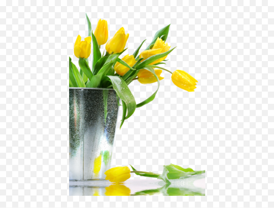 Yellow Flowers Psd Official Psds Emoji,Green And Yellow Flower Logo