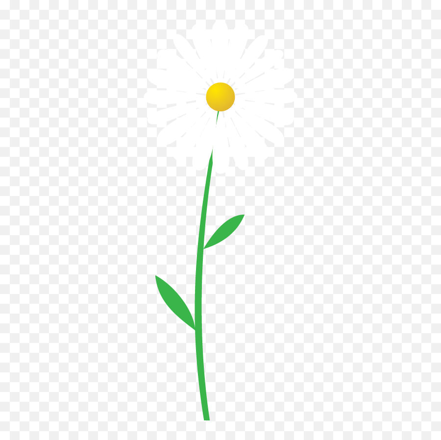 Daisy Flower - Lindengrove Communities Emoji,Daisy Flower Png