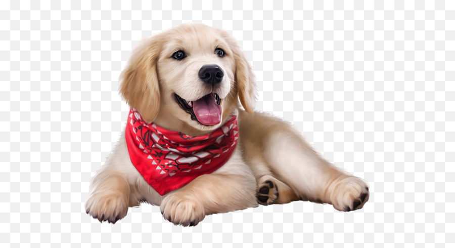 Dog Bandana - Dog With Scarf Png Emoji,Bandana Png