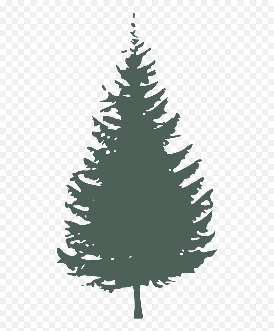 Graygreen Pine Tree Svg Vector - Pine Simple Clipart Tree Silhouette Emoji,Pine Tree Clipart