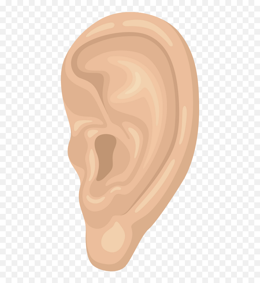 Ear Clipart Transparent 4 - Clipart World Emoji,Clipart Of Ears