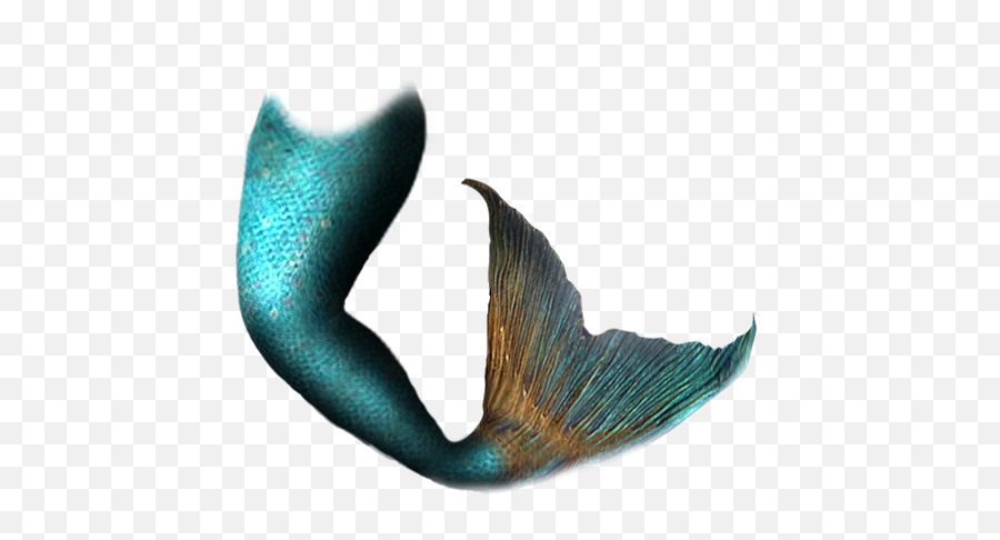 Mermaid Tail Clip Art - Real Mermaid Tail Png Emoji,Mermaid Tail Clipart