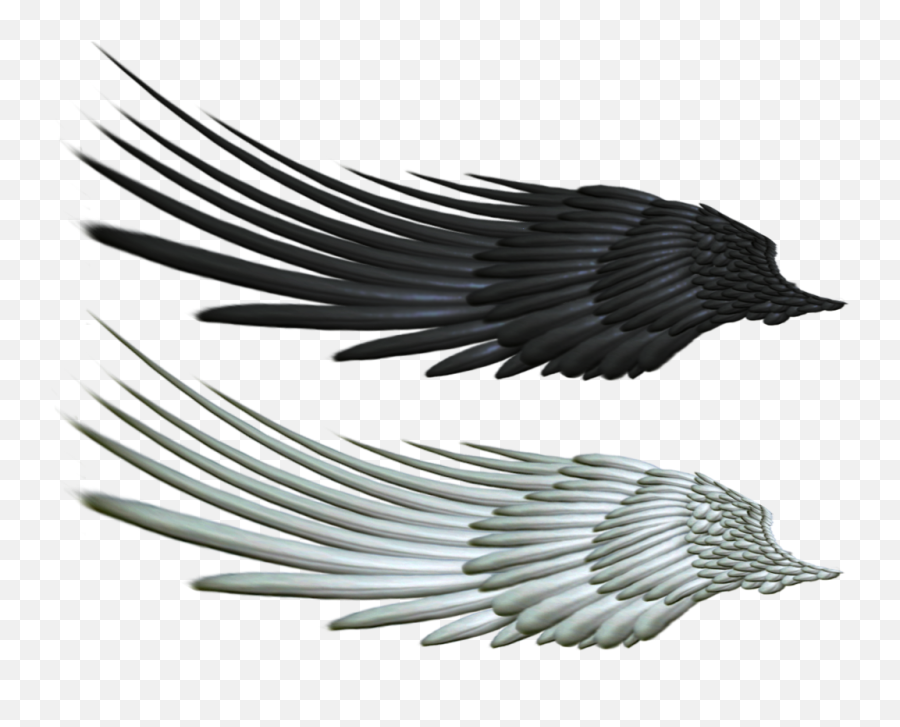 Wings Icon Clipart - 14355 Transparentpng Transparent Black Raven Wings Emoji,Wing Clipart