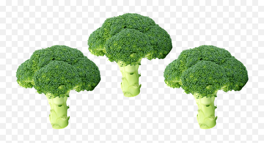 Broccoli Png Vegetables Photos - Brocolis Png Emoji,Broccoli Png