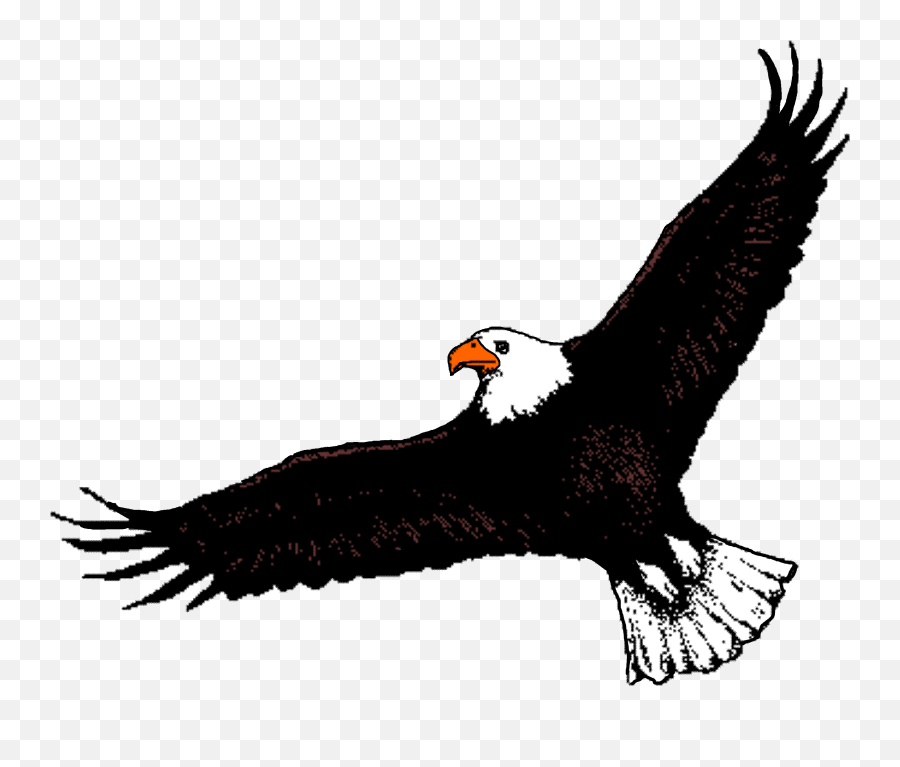 Free Eagle Flying Cliparts Png Images - Soaring Eagle Flying Eagle Clipart Black And White Emoji,Eagles Clipart